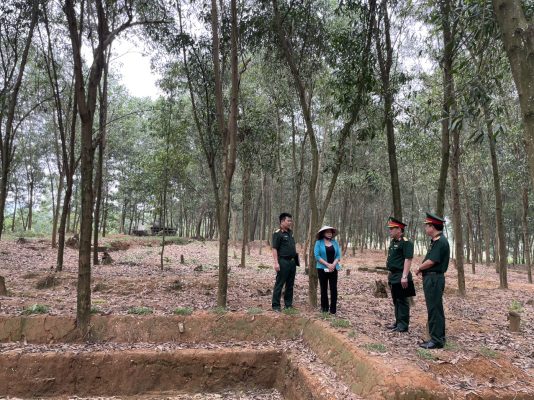 Kiểm tra thực địa xây dựng căn cứ chiến đấu giả định trong Diễn tập khu vực phòng thủ huyện năm 2024