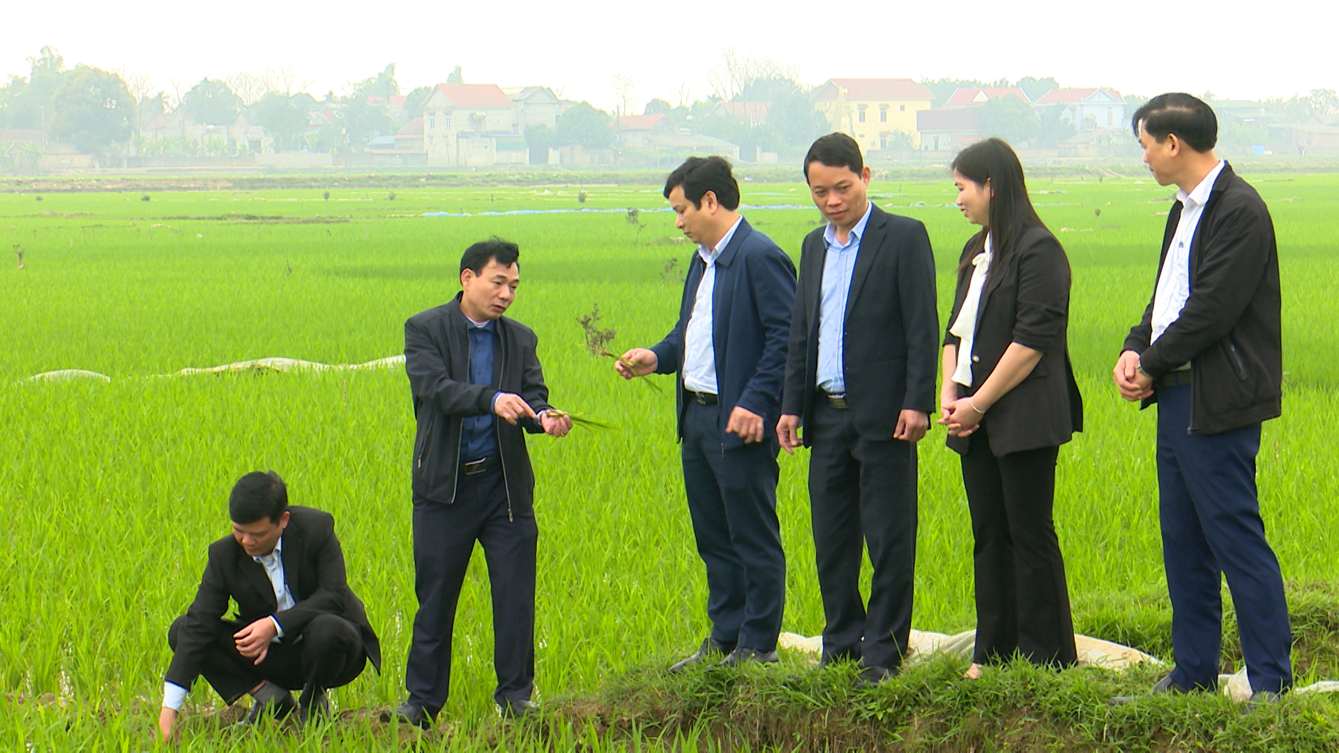 Lãnh đạo  huyện Phù Ninh thăm, kiểm tra mô hình sản xuất nông nghiệp trên địa bàn huyện