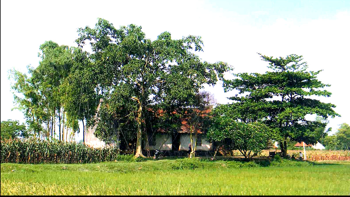 Đình Bình Bộ, xã Bình Phú, huyện Phù Ninh, tỉnh Phú Thọ