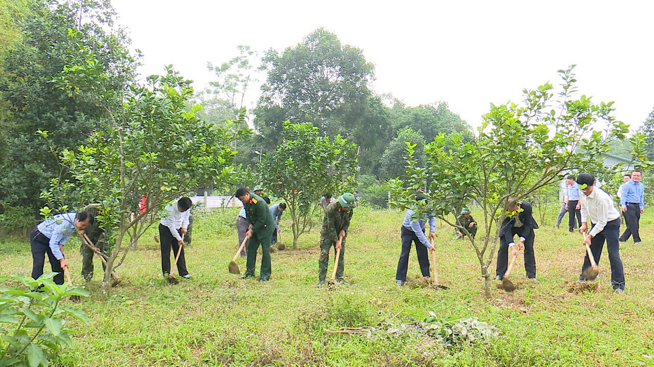 Nghị quyết 13 của Ban Thường vụ Huyện ủy Phù Ninh - động lực phát triển nông nghiệp, nông thôn!