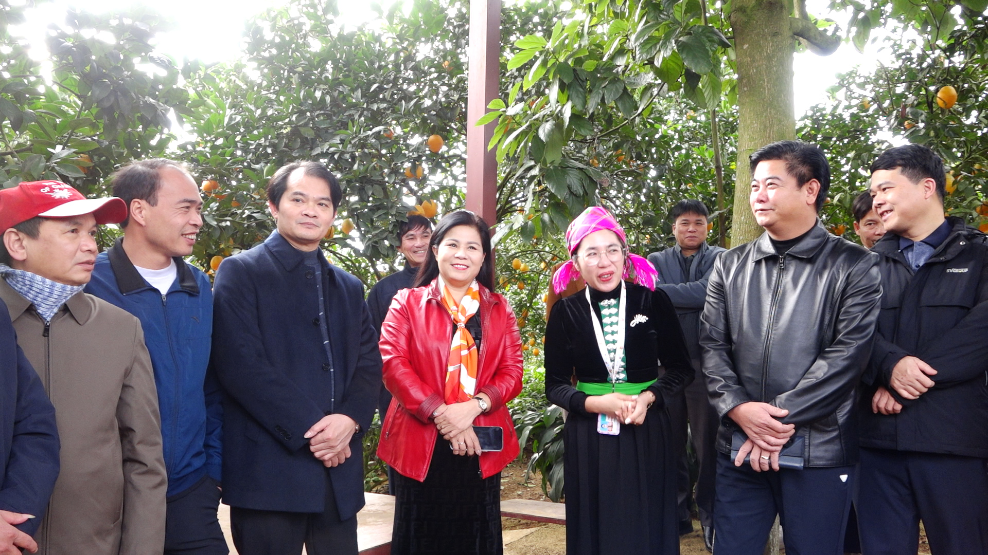 Huyện Phù Ninh: Tham quan học tập kinh nghiệm mô hình sản xuất nông nghiệp công nghệ cao tại thị xã Mộc Châu, tỉnh Sơn La